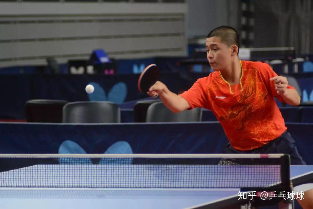 供了可资借 供了可资借